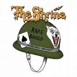 The Shrine : Rare Breed